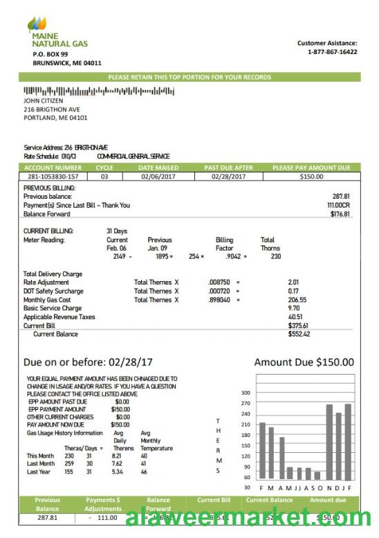 USA Maine Natural Gas Portland utility bill template in Word and PDF format